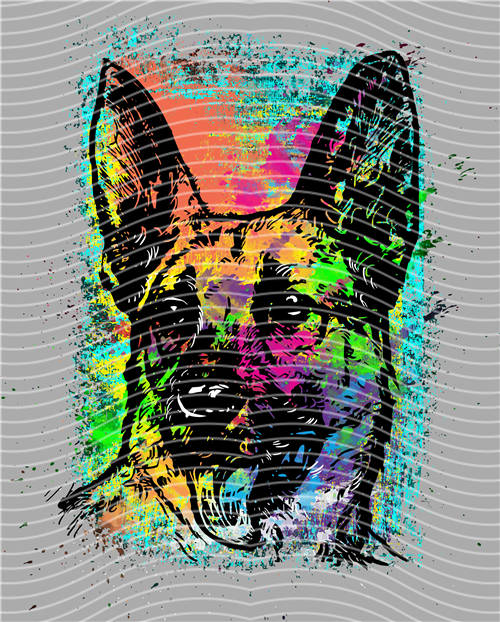 Street design-JT 4089